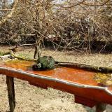 photo 2021-03-26 09-33-31