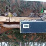 photo 2021-02-13 08-28-58