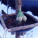 photo 2019-01-10 16-30-22