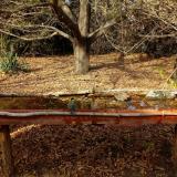 photo 2021-10-26 14-32-00