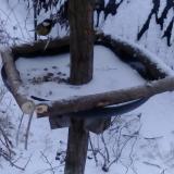 photo 2019-01-05 08-27-50