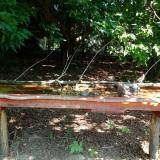 photo 2021-07-23 10-45-17