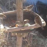 photo 2019-02-14 09-20-12