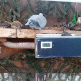 photo 2021-02-15 07-54-27