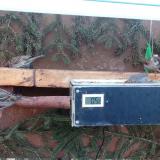 photo 2021-03-01 07-10-11