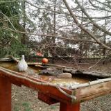 photo 2022-03-17 10-13-06