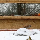 photo 2022-01-22 09-39-45