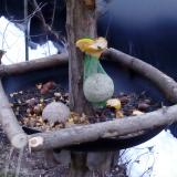 photo 2019-01-16 07-55-18