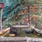 photo 2023-10-14 08-00-40