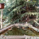 photo 2023-10-11 15-44-44 3