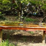 photo 2021-04-25 14-06-53