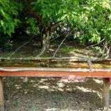 photo 2021-05-12 11-11-21