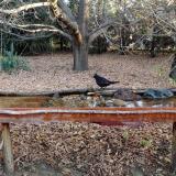 photo 2021-10-26 08-10-49