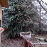 photo 2021-12-15 07-40-43