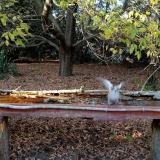 photo 2021-10-19 16-22-00