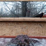 photo 2022-01-20 15-20-19