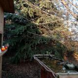 photo 2021-12-14 14-22-39