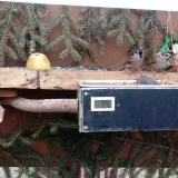 photo 2021-02-07 15-17-01