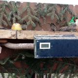 photo 2021-02-10 14-32-53