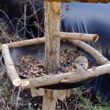 photo 2019-01-02 11-15-57