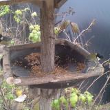 photo 2019-12-10 13-43-33