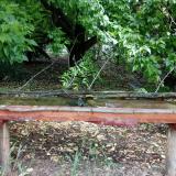 photo 2021-05-31 09-51-23