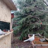 photo 2021-12-30 13-49-21