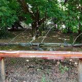 photo 2021-07-03 13-29-02