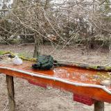 photo 2021-03-22 12-01-44