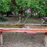 photo 2021-05-06 19-18-46