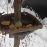 photo 2019-01-23 08-21-17