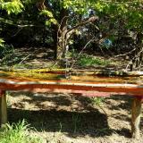 photo 2021-04-26 09-59-40