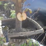 photo 2019-12-03 10-17-14