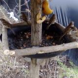 photo 2019-02-02 11-54-01