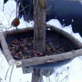 photo 2019-01-08 07-59-00