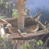 photo 2019-12-16 10-20-48