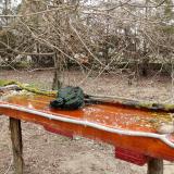 photo 2021-03-22 10-15-29