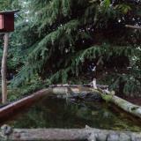 photo 2023-10-10 18-08-00