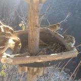 photo 2019-12-30 10-43-01