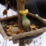 photo 2019-01-13 12-40-52