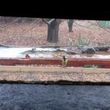 photo 2021-12-05 14-07-30