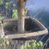 photo 2019-12-14 15-01-30