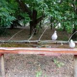 photo 2021-07-05 08-53-58