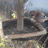 photo 2019-12-25 09-23-37