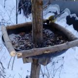 photo 2019-01-07 08-23-11