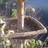 photo 2019-12-08 14-11-52