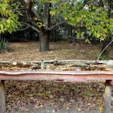 photo 2021-10-13 14-58-18