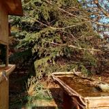 photo 2021-11-18 13-03-42