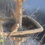 photo 2019-12-30 13-26-00