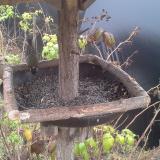 photo 2019-12-12 09-36-45